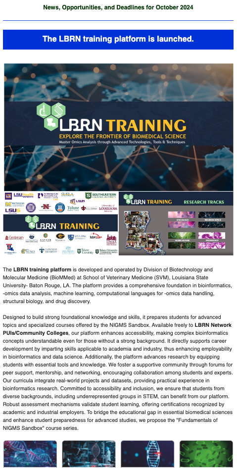 lbrn newsletter October 2024